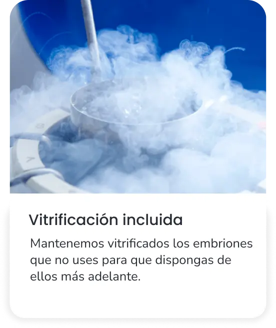 Vitrificacion